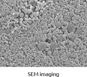서방형 미립구 치료제 추가 이미지 [SEM 이미징]